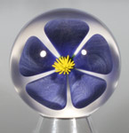 Dark Periwinkle Flower